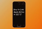 How to link Apple Notes app in iOS 17 ?